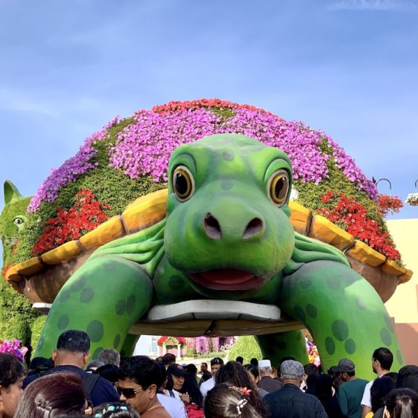 Miracle Garden Dubai Besuchszeit