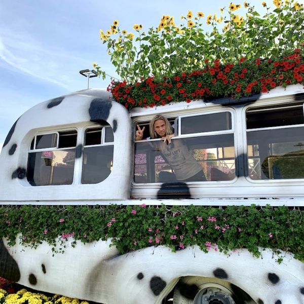 Miracle Garden in Dubai Blumen Bus