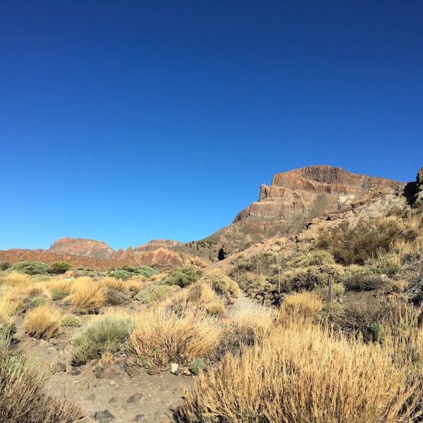 Mirador Llano de Ucanca Nationalpark Teide Landschaft
