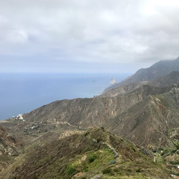 Am Aussichtspunkt "Mirador Risco Mogote" hast du einen schönen Blick auf die Felsküste an der Ostseite des Macizo de Anaga