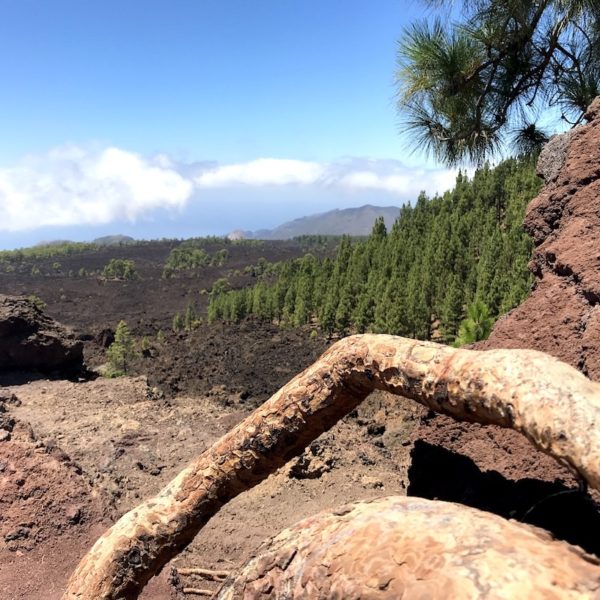 Mirador de Los Poleos Teide Nationalpark