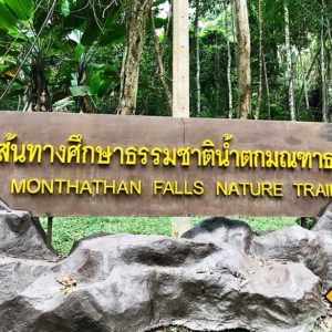 Monthathan Falls Nature Trail Doi Suthep National Park