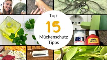 Mückenschutz auf Reisen und zuhause – 15 Tipps und Schutzmittel