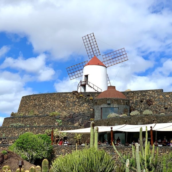 Mühle Lanzarote Kaktusgarten