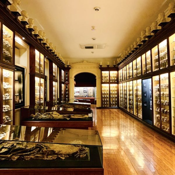 Mumien Gallerie Museo Canario Las Palmas de Gran Canaria