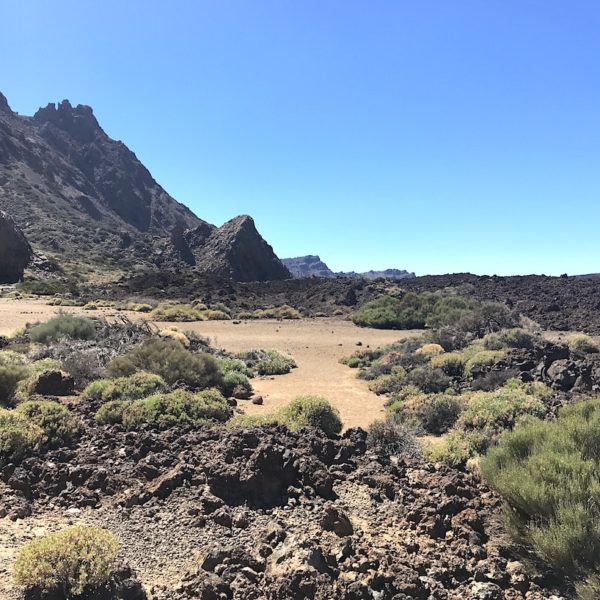 Nationalpark Teide Zapato de La Reina