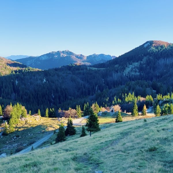 Nationalpark nördlicher Velebit Bäume Berge