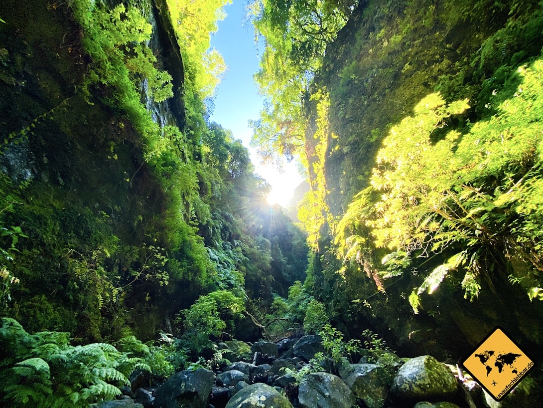 Natur Fahne Los Tilos