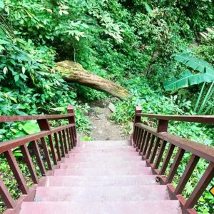 Nature Trail Doi Suthep National Park Chiang Mai