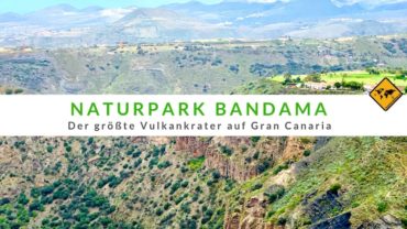 Naturpark Bandama – der größte Vulkankrater auf Gran Canaria