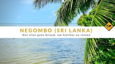 Negombo in Sri Lanka – Der 1 gute Grund, um hierher zu reisen