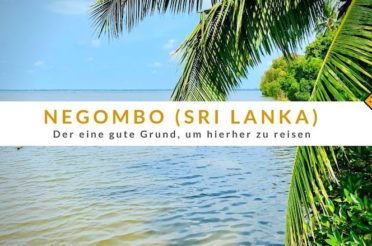Negombo in Sri Lanka – Der 1 gute Grund, um hierher zu reisen