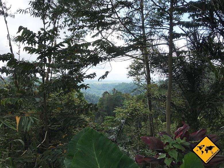 Nungnung Waterfall Ausblick