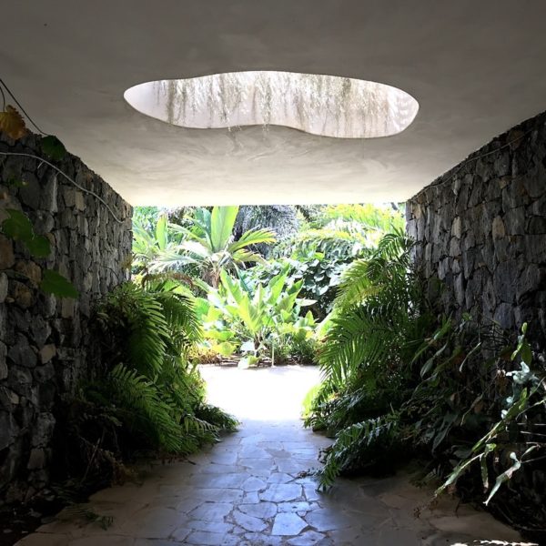 Octogono Palmengarten Santa Cruz de Tenerife