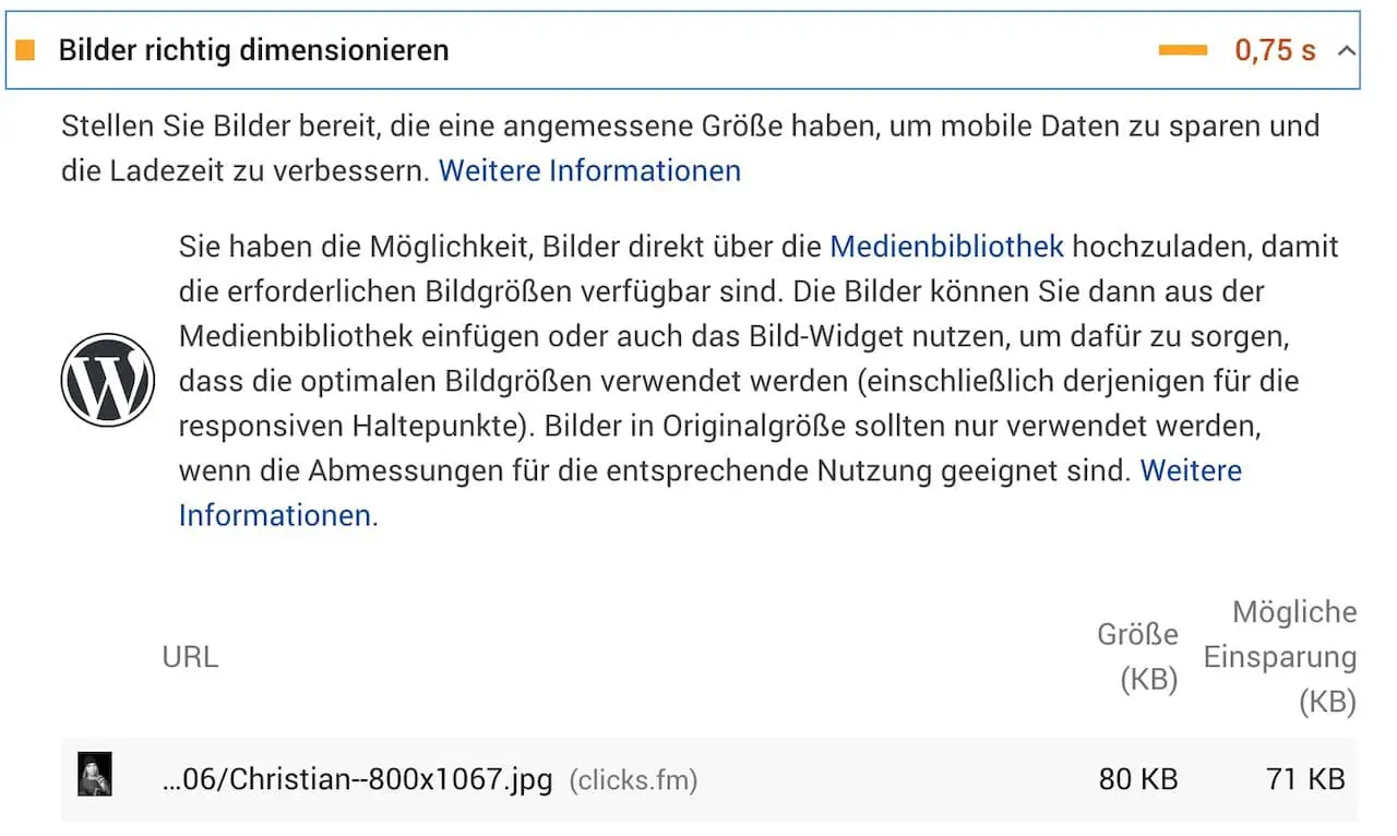 SEO-Fehler Pagespeed Insights Bilder richtig dimensionieren