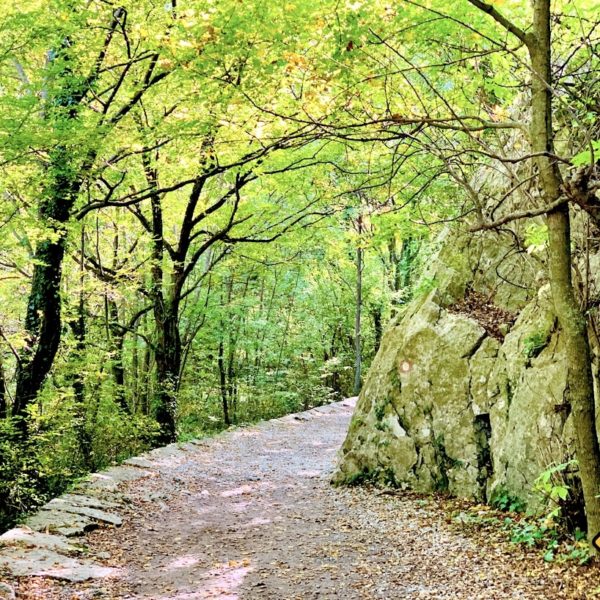 Paklenica Nationalpark Kroatien Wanderweg Wald