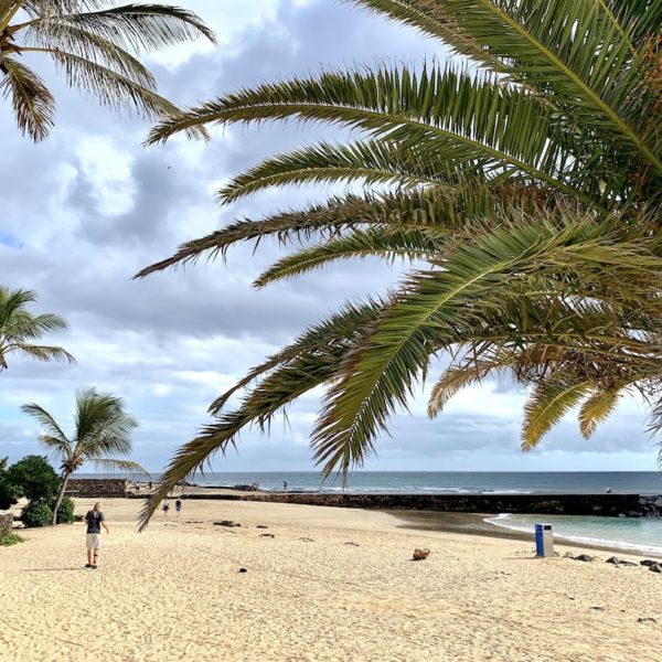 Palme Strand Costa Teguise
