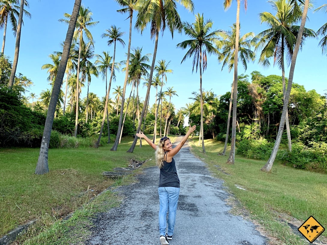 Palmen Weg Secret Beach Rawai