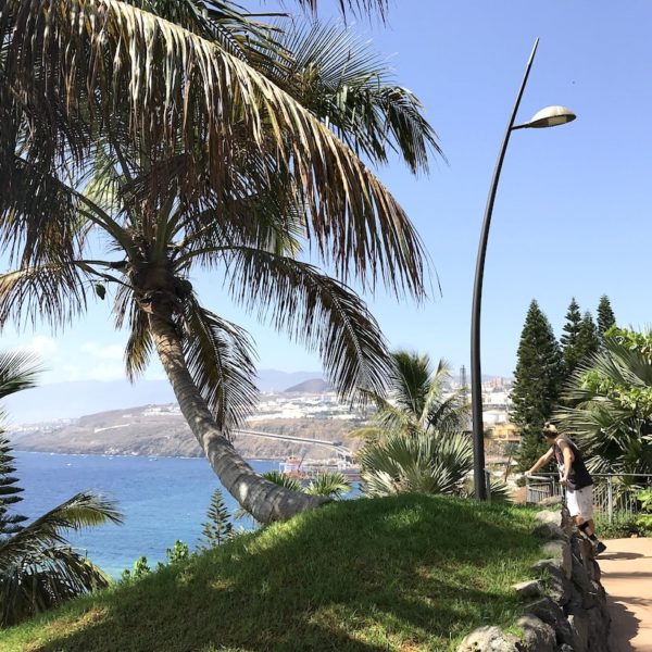 Palmetum Santa Cruz de Tenerife Ausblick Meer