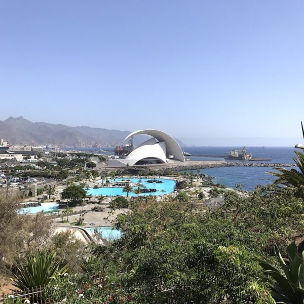 Palmetum Santa Cruz de Tenerife Mirador del Caribe