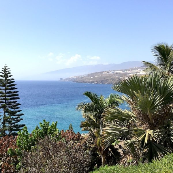 Palmetum botanischer Garten Teneriffa Ausblick