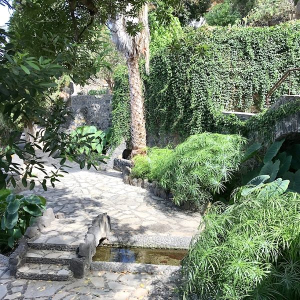 Parque Los Lavaderos El Sauzal Teneriffa grün