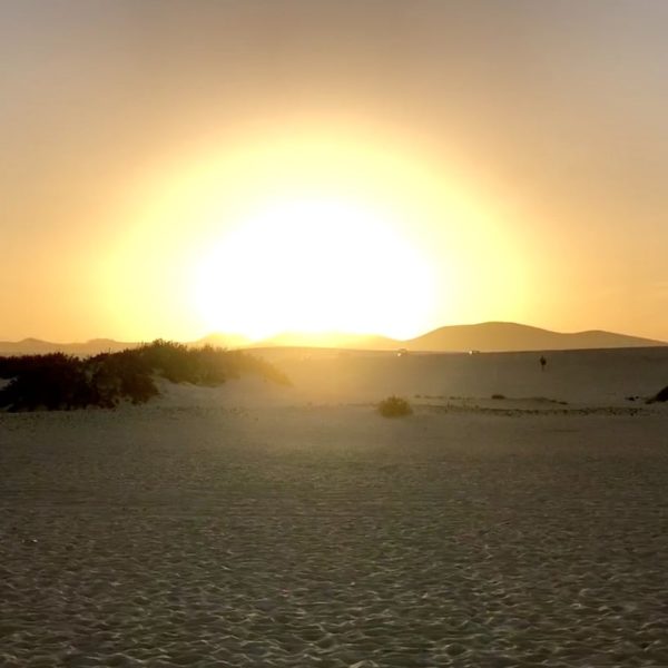 Parque Natural de Corralejo Dünen Sonnenuntergang