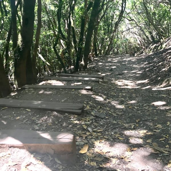Path of the Senses Anaga Gebirge Wanderweg Teneriffa