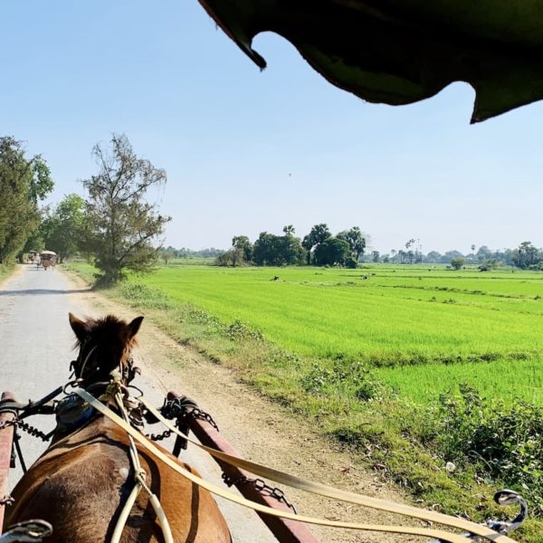 Pferdekutsche Inwa Myanmar