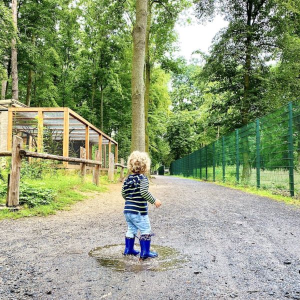 Pfütze Wildpark Moritzburg