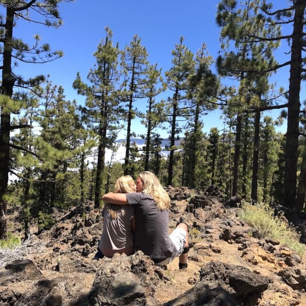 Pinienwald Teide Nationalpark Teneriffa Sehenswürdigkeiten