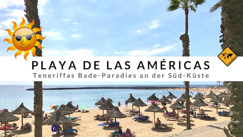 Laboratorio A tiempo calibre Playa de las Américas - Top 12 Aktivitäten & Urlaubstipps