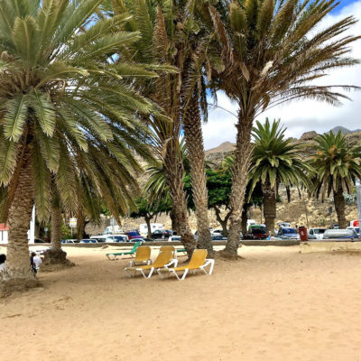 Die zahlreichen Palmen am Playa de las Teresitas spenden Schatten