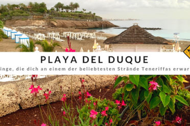 Diese 8 Highlights warten am Playa del Duque auf dich