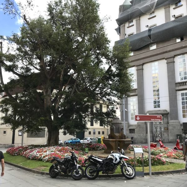 Plaza Santo Domingo Santa Cruz de Tenerife