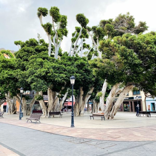 Plaza de la Constitución San Sebastián de La Gomera