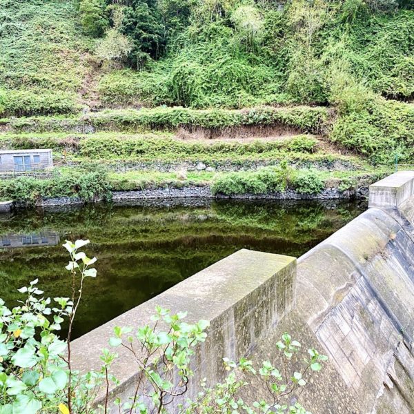 Presa de los Tiles