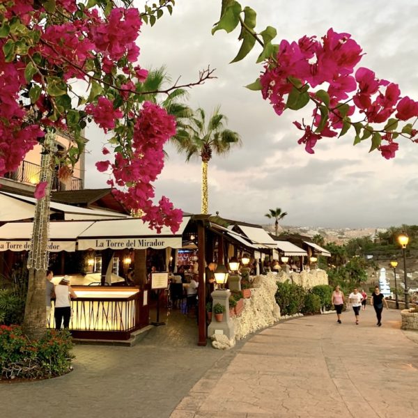 Promenade Blumen Costa Adeje Teneriffa