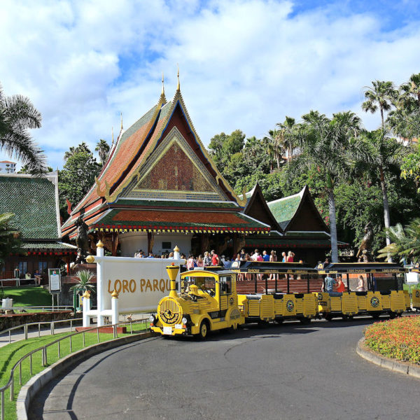 Puerto de la Cruz Loro Parque Bahn