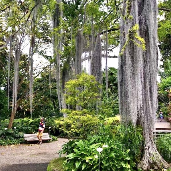 Botanische Gärten auf Teneriffa Top 5 unaufschiebbar.de