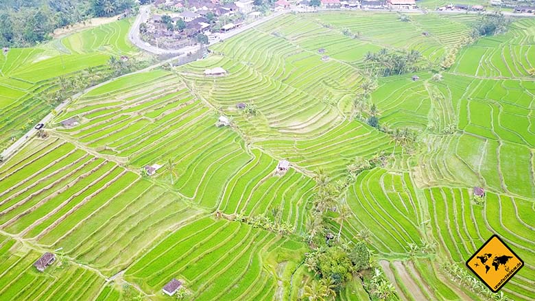 Reisterrassen Jatiluwih Bali Aussichtspunkt