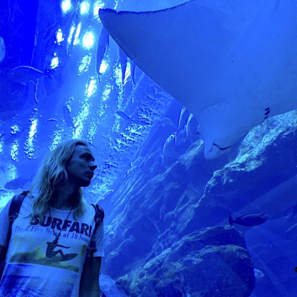 Rochen Dubai Mall Shopping Center Aquarium