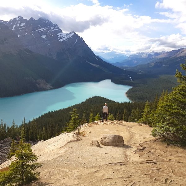 Rocky Mountains Kanada Peyto Lake Icefield Parkway