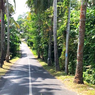 Die meisten Straßen auf Bali sind vor allem in weniger touristischen Regionen eher schmaler als in Deutschland