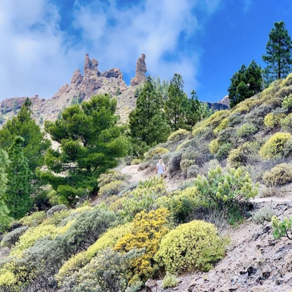 Roque Nublo Berglandschaft Gran Canaria