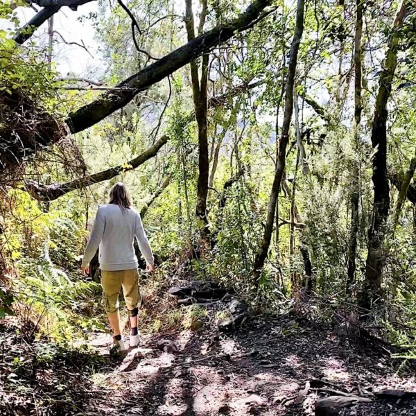 Route 6 wandern auf La Gomera