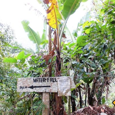 Rundreise Bali mit Wasserfall Besichtigung