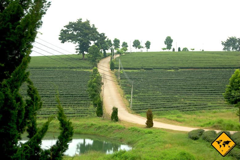 Rundreise Nordthailand