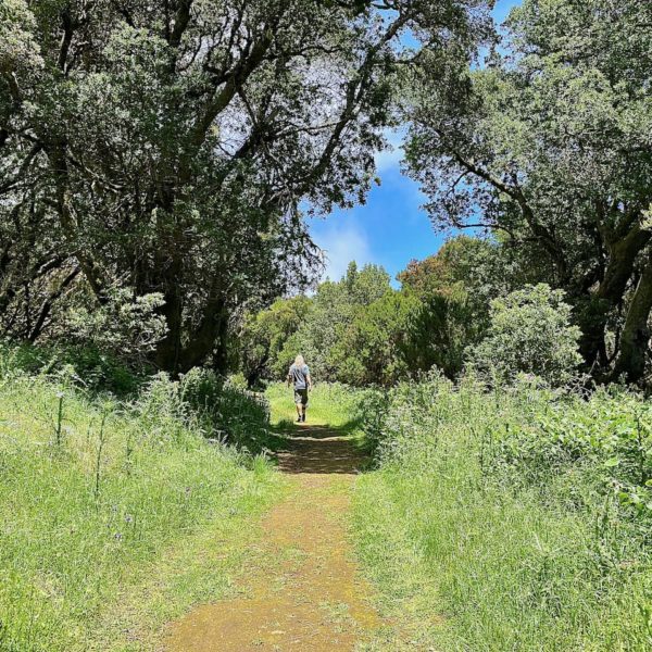 Rundweg La Llanía
