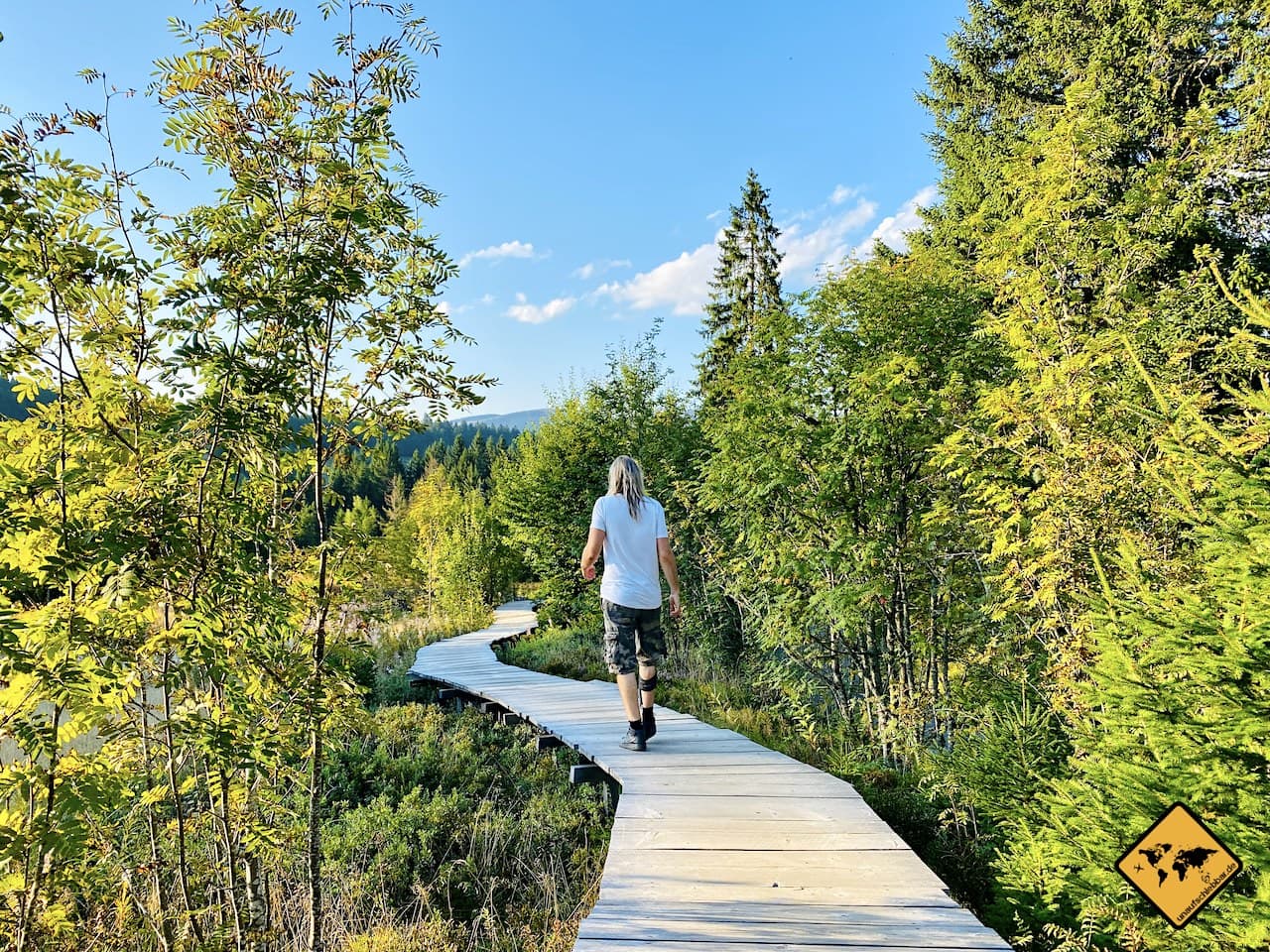 Rundweg Zauberwaldpfad Bernau im Schwarzwald